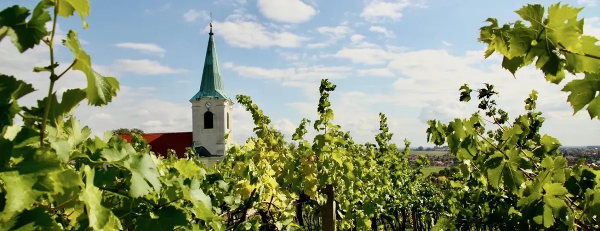 The church and vineyards of Sady, above Uherské Hradiště